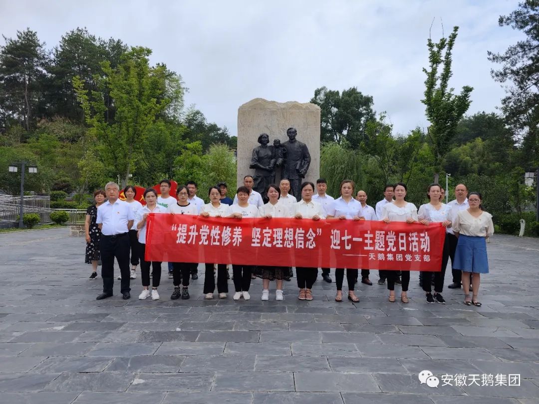 天鵝集團(tuán)黨支部組織開展“七一”主題黨日活動